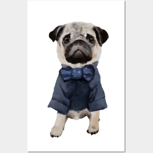 Pug in a suite Posters and Art